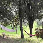Bellavista * 切塔尔多